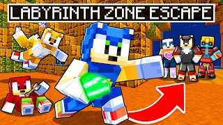 Can Sonic Escape Labyrinth Zone ALIVE  Minecraft Sonic The Hedgehog 3  94 [upl. by Nnairol]