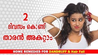 🙆Dandruff Treatment at home in MalayalamDandruff Removal Home Remediesതാരന്‍ Ethnic Health Court [upl. by Madoc]