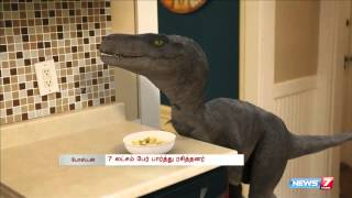 A dinosaur plays up for its owner in this funny video clip  World  News7 Tamil [upl. by Oiromed]