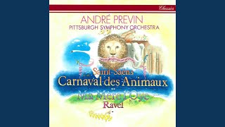 SaintSaëns Le Carnaval des Animaux R 125 Kangourous [upl. by Nnaecarg808]