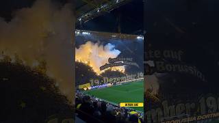 Borussia Dortmund  Mainz 05  CHOREO PYRO der DORTMUNDER 191223 [upl. by Adnek150]