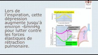 pression intapleurale [upl. by Lockhart70]