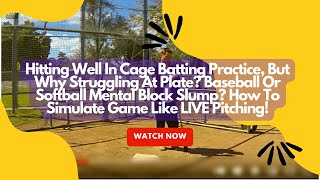 Hitting In Batting Practice But Struggling At Plate Simulate Baseball Or Softball LIVE Pitching [upl. by Asher625]