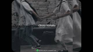 Obata Nohaka slowedreverb [upl. by Wohlert]