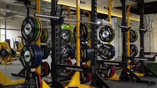 FitOutProjectShowcase Golds Gym KippaRing  by Prima Commercial Fitouts [upl. by Ynohtnakram]