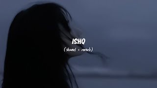 💔 Unforgettable Vibes ISHQ Slowed  Reverb Experience  Transform Your Mood [upl. by Knapp]