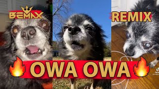 Pudgywoke  OWA OWA Bemax Dance Remix [upl. by Asirralc568]