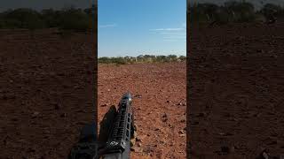 Teaser for Camel control wedgetail mpr308 Camel pumpaction feral drought feral australia [upl. by Ellehsor]