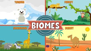 Biomes of the World  Types of Biomes  Video for Kids [upl. by Onileva525]