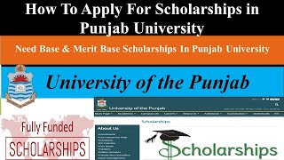 How To Apply For Scholarships In Punjab University Admissions 2020  PU Scholarship All Details [upl. by Nitsug28]