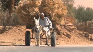 Dakhla Oasis 2 Egypt western desert [upl. by Nelle314]