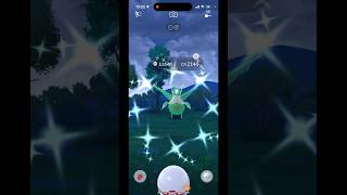 ✨Safari Zone SHINY✨ Pokemon GO shinyencounter augmentedrealitygame shinypokemon pokemon [upl. by Horacio]