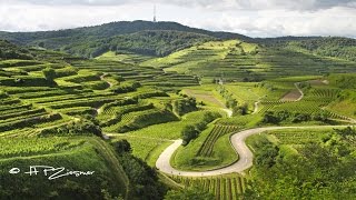 Kaiserstuhl im Sommer  Farben eines Jahres  Teil 2 [upl. by Asserak]