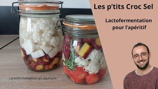 Lactofermentation pour lapéritif [upl. by Asseret]