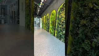 Custom moss wall indoor decoration project [upl. by Cirderf]