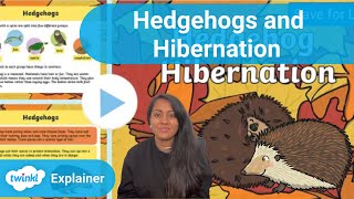 Hedgehogs and Hibernation Facts and Craft Activity [upl. by Luapsemaj4]