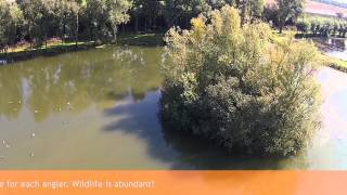 The Carp Specialist  Het Broek  Carp Lake  An areal view [upl. by Carmena]