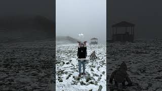 Snow Experience in Georgia  Gudauri Mountain travel snow trending shorts youtubeshorts [upl. by Kerman]