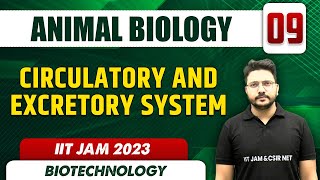 Circulatory and Excretory System l Animal Biology 09 l IIT JAM 2023 [upl. by Onaimad]