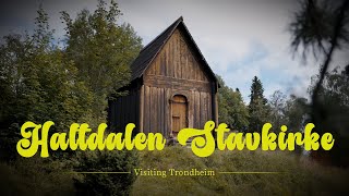 Visiting Trondheim to see a Stave Church  Haltdalen Stavkirke amp Nidaros [upl. by Alecram]