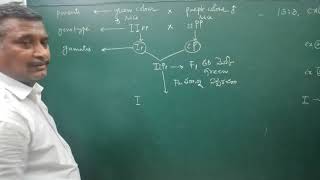 Epistasis  Dominant inhibitory epistasis Part I [upl. by Euqinoj]