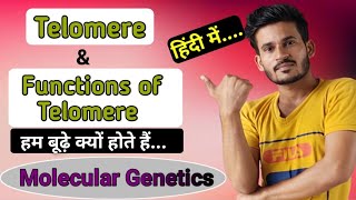 Telomere and Functions of Telomere  हम बूढ़े क्यों होते हैं  Molecular Genetics [upl. by Zachariah]