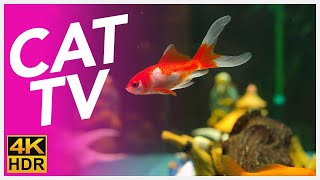 CAT TV 📺  Fish Video for Cats to Watch 🐟 Underwater Swimming Special [upl. by Lekim966]