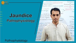 Jaundice Pathophysiology and Treatments [upl. by Heyes]