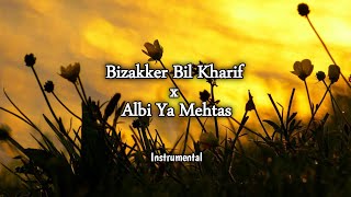 Bizaker Bil Kharif X Albi Ya Mehtas  instrumental irullmusic [upl. by Annoik]