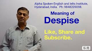 Despise  Pronunciation Meaning Uses Synonyms and Antonyms [upl. by Nannoc]