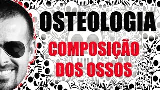 Sistema Esquelético  Composição dos Ossos  Osteologia  Anatomia Humana  VídeoAula 005 [upl. by Kakalina540]