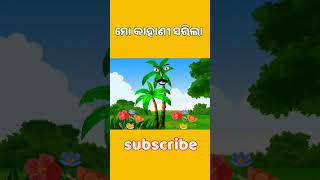 ମୋ ଗପ ଟି ସରିଲା  odia Stories  Odia gapa  Odia Chadhei gapa  Odia kahani  tiki Chadhei  gapa [upl. by Redyr]