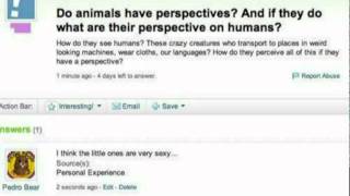 Trolling Yahoo Answers [upl. by Arahsal]