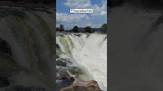 Hogenakkal Falls 🌊🏖️ ⛵  Waterfallsnaturelovers nature bangalore [upl. by Hakeem]