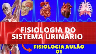 FISIOLOGIA DO SISTEMA URINÁRIOEXCRETOR FISIOLOGIA DE GUYTON  FISIOLOGIA RENAL  AULÃO FISIOLOGIA [upl. by Gladys]