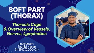 Thoracic Cage amp Overview of Blood vessels Nerves amp Lymphatics  Thoracic Duct  Azygos Vein [upl. by Ohara]