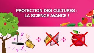 Protection des cultures  la science avance [upl. by Ahsinot306]