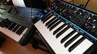 NOVATION BASS STATION 2 TASCAM DP 32 SD DIGI PORTASTUDIO [upl. by Blisse]