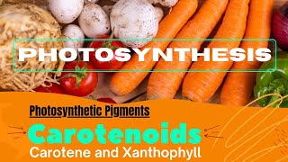 Carotenoids  Carotene  Xanthophyll  Photosynthetic Pigments  Photosynthesis  08 [upl. by Atteiluj314]