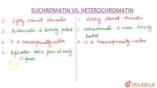 DIFFERENCE BETWEEN EUCHROMATIN amp HETEROCHROMATIN [upl. by Nodnab]