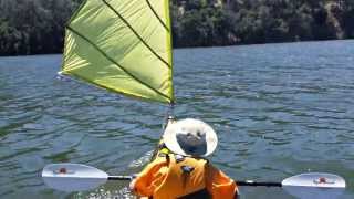 Kayak Sailing with Home made DIY Sail upwind capable  Del Valle [upl. by Oulman289]