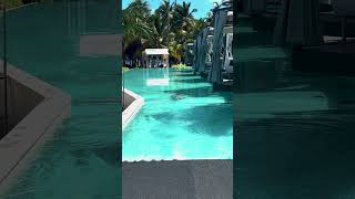 Catalonia Resort Punta Cana DR [upl. by Shayla635]