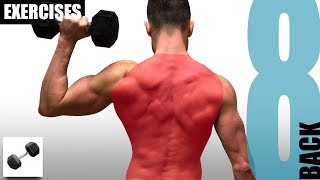 8 BACK EXERCISES YOU CAN DO WITH JUST ONE DUMBBELL [upl. by Atazroglam]