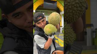 ATAS BAWAH BERBINTANG durian musangking masduren [upl. by Anoo690]