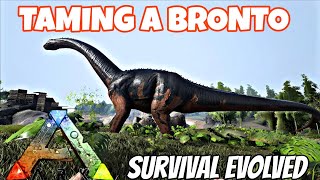 Epic Bronto Taming Adventure  ARK Survival Evolved [upl. by Andreana687]