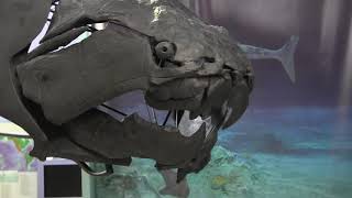 Meet the Dunkleosteus [upl. by Dahl]