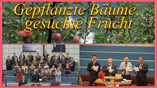 Gepflanzte Bäume gesuchte Frucht  Gemeinde Gottes Edmonton  20241103 [upl. by Eversole603]