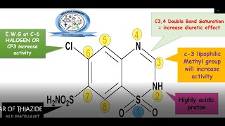 Structure Activity Relationship SAR of Thiazide Diuretics  Diuretics  Medicinal Chemistry [upl. by Jerrilee289]