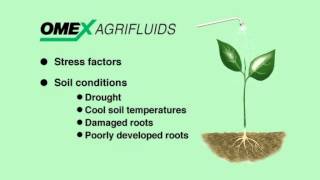 Why use Foliar Fertilizers [upl. by Annaert]