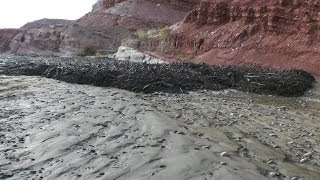 Amazing Flash Flood  Debris Flow Southern Utah HD [upl. by Llij]